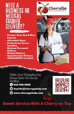 CherryGo Senior Errand & Messenger Services