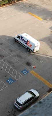 FedEx