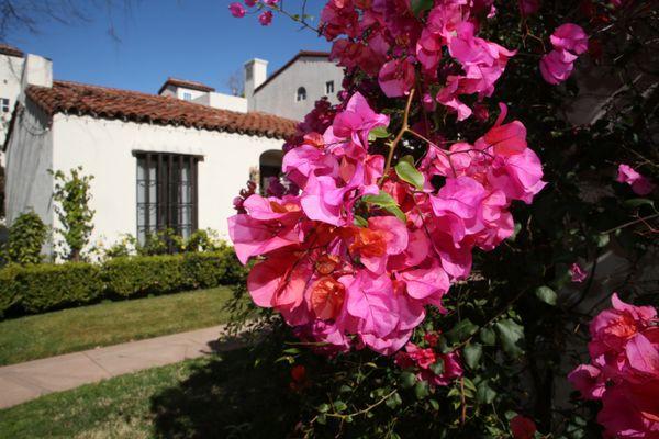 Historic Buildings are a specialty at Partners Community Management and we've successfully taken communities through the Mills Act Process.