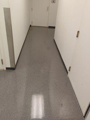 Floor Star Cleaning Service