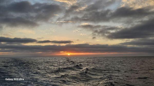 Coming home from Catalina and watching the sunset.