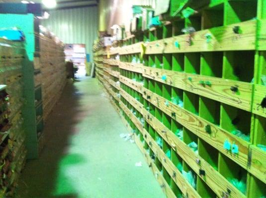 Adams Surplus And Salvage