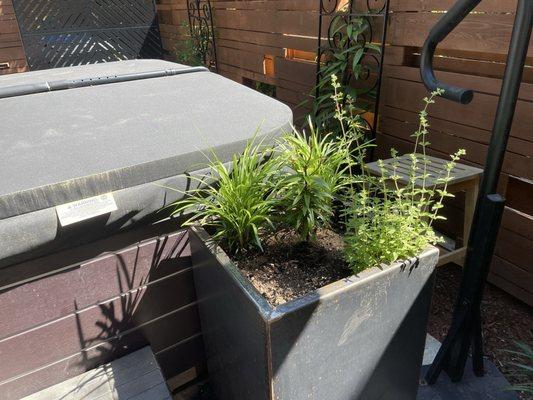 Looks at the variety of plant the provided.