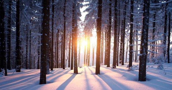 Rolling Relaxation Massage & Bodywork