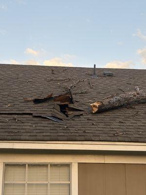 Premier Property Management Group