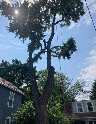 Landscaping Super Services