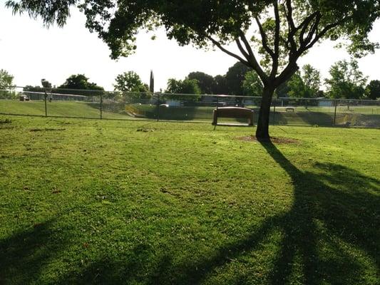 University Park & Dog Park