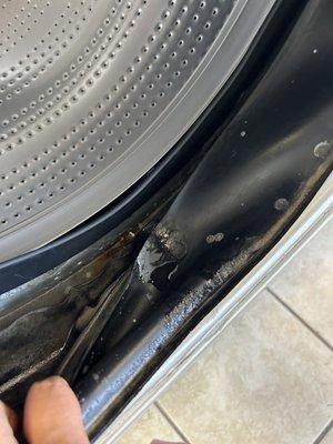 Carrollwood Laundromat & Economy Dry Cleaning