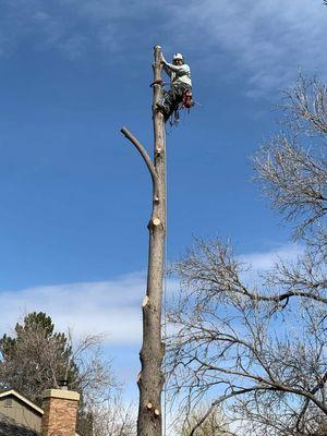 J-Bear's Tree Care and Landscaping
