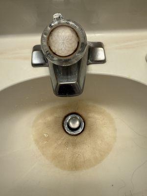 The bathroom faucet and sink