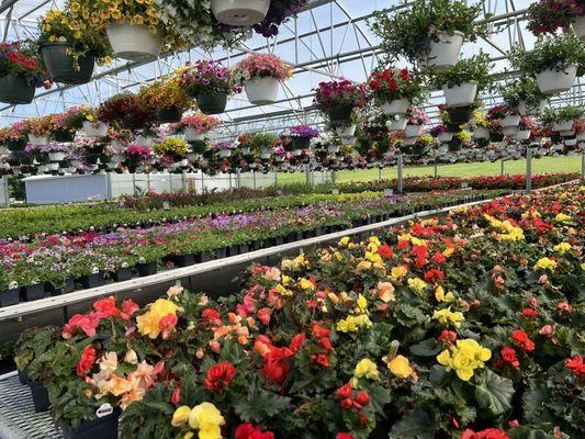 Miller's Greenhouses & Flower Shop