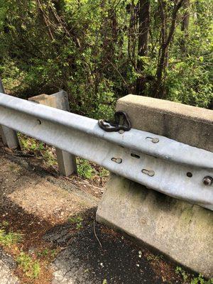 Black snake at Fort Belvoir Travel Camp entrance