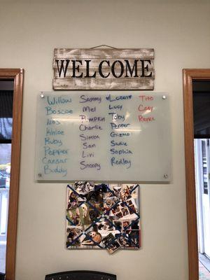 Greentree Animal Clinic