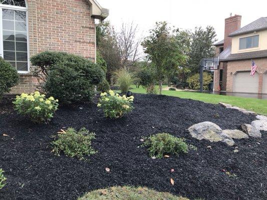 Ariel Romero Landscaping Services