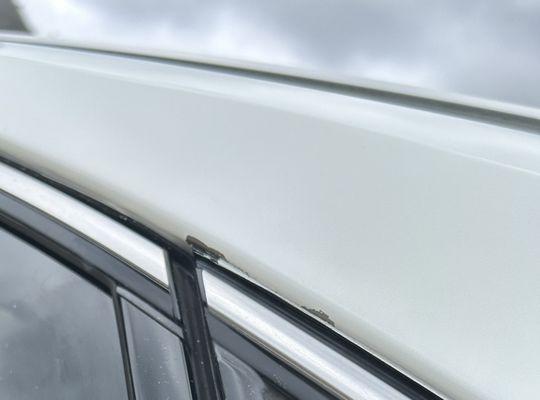 Peach Auto Painting & Collision