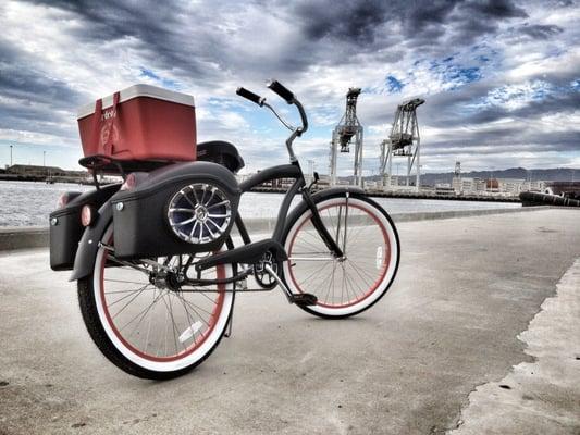 Mutazu FY hard saddlebags in matte black mounted on my cruiser bicycle. Installed a pair of 6x9 speakers, too. Bike Party!!!