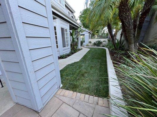 AFTER: Side yard w/ concrete removed, grass planted, more drains that work and an awesome drip irrigation system