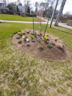 New Cuts Landscaping