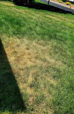 NuLeaf, Naturally Better Lawn Care