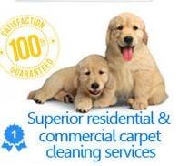 Carpet Cleaning Mesquite Texas