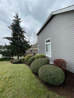 Vu Nguyen Landscaping And Junk Removal