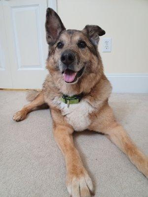 13 years old and looking great!