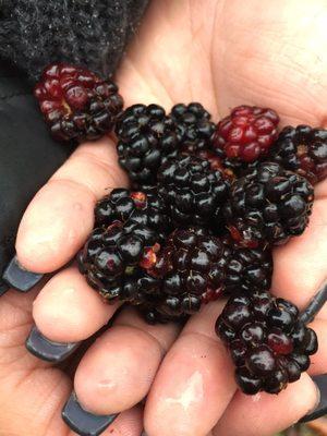 Rocky Creek Conservation Area