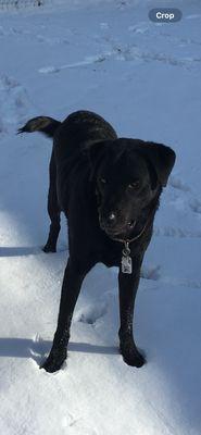 Valley Veterinary Hospital