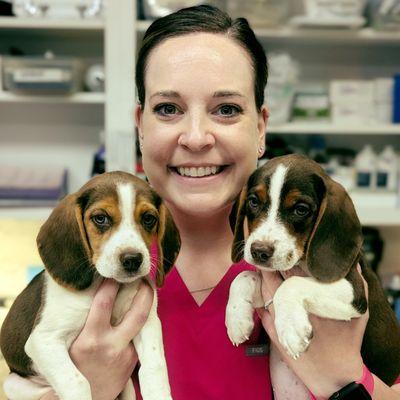 Abilene Animal Hospital