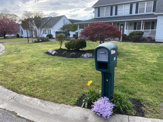 Landscape Designs by Kim