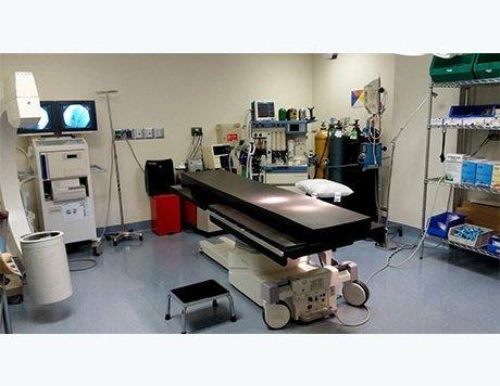 Winston L Wong, DPM - Irving Place Surgery & Wellness Center