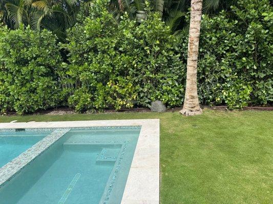 Creative Media Designs