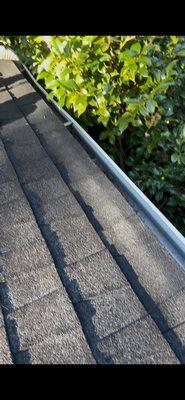 After pictures- free of debris