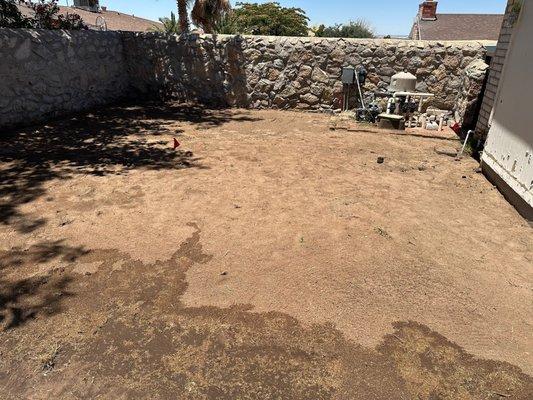 Sun City Sod & Landscape