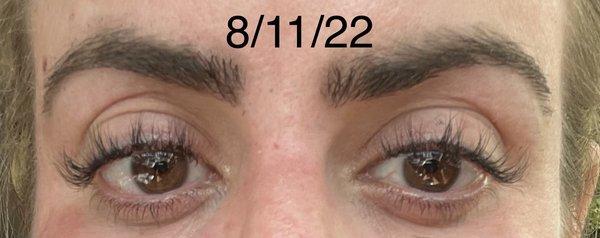 Vinnie & June Brow and Grooming Bar