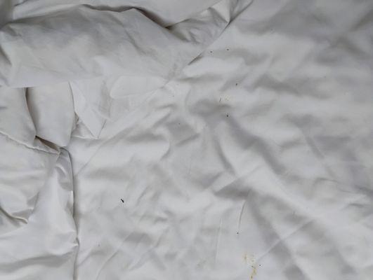 Trident Inn & Suites