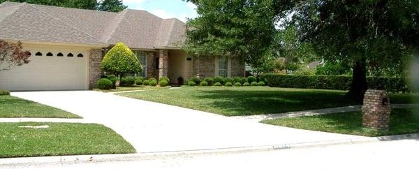 Some of Sun state lawn cares quality work.