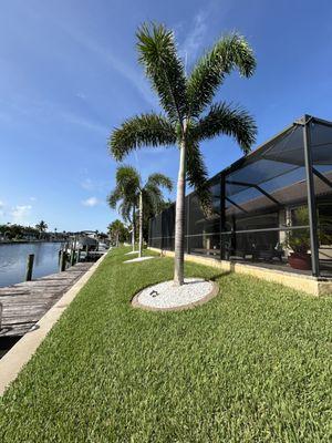Palm City Nursery & Landscaping