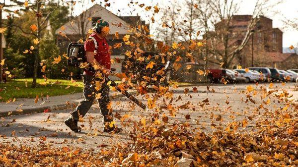 It's time for fall cleanup call us 978 930 5812