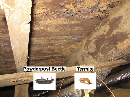 Every Detail Matters Home Inspections