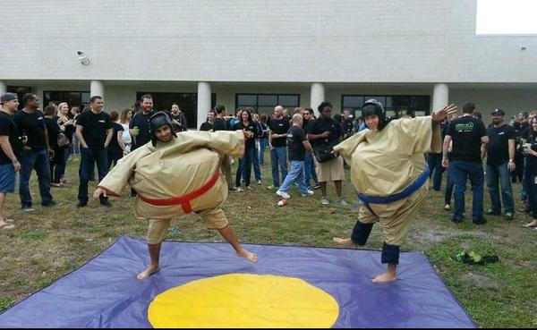 Sumo wrestling at Labtech