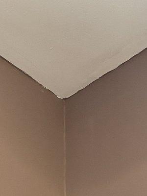 Daniel's Handymann Services