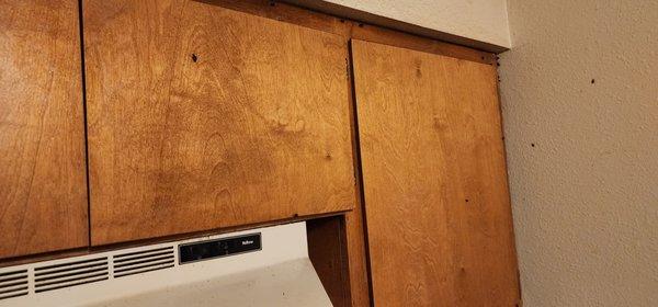 San Joaquin Pest Control - Visalia