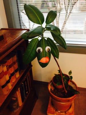 Texas State Law Library