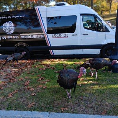 Symphony Barbers Mobile