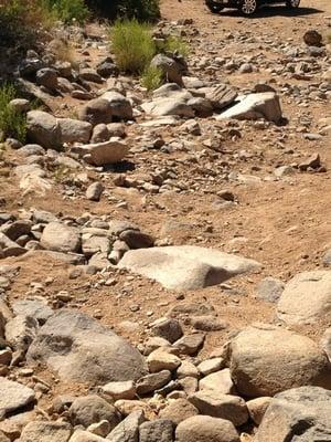 Purcell Galleries of Fine Art