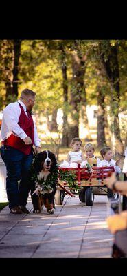 Wolfe Wholesale Florist