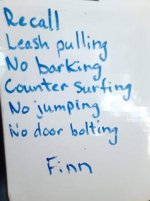 Dog Lady of Forest Grove