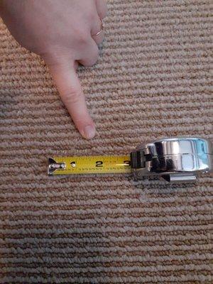 A 3 inch tear in the middle of my carpet