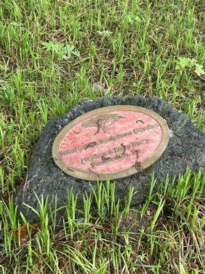 Interactive Sculpture Garden